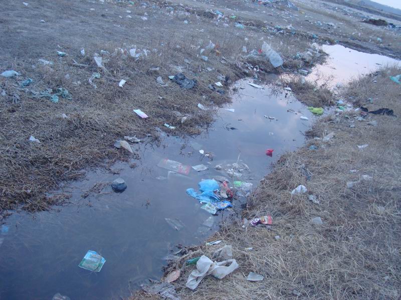 生物毒性分析儀精度高 生物毒性分析儀精度高