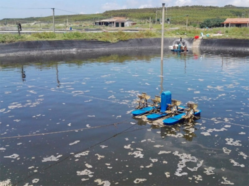 水中亞硝酸鹽含量過高對(duì)養(yǎng)殖有什么影響