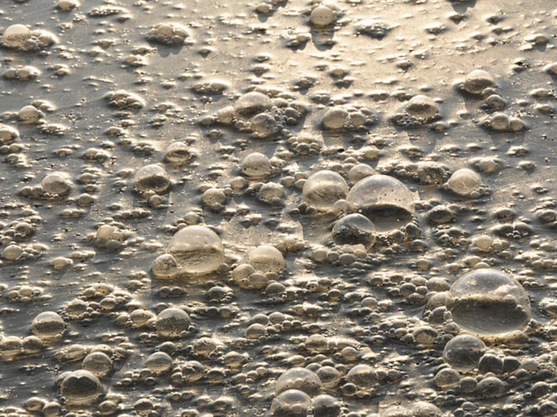 檢測工業(yè)污水可以用在線氨氮檢測儀嗎？