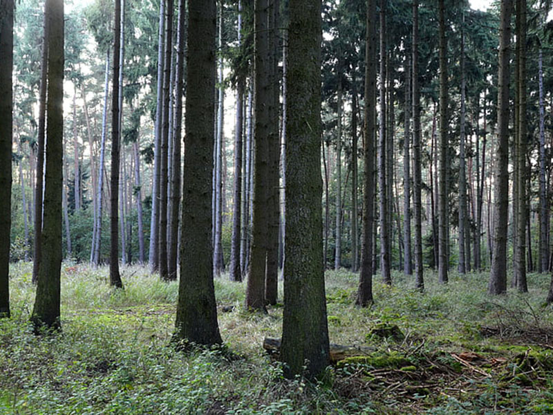 負(fù)氧離子監(jiān)測系統(tǒng)可實(shí)時監(jiān)控空氣質(zhì)量