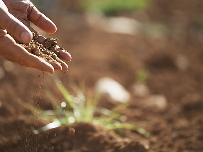 如何檢測(cè)土壤重金屬是否超標(biāo) 如何檢測(cè)土壤重金屬是否超標(biāo)