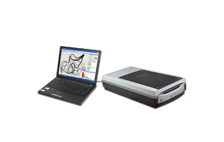 植物根系圖像分析儀，用于根系研究