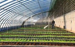 溫室種植土壤養分的三大變化特征