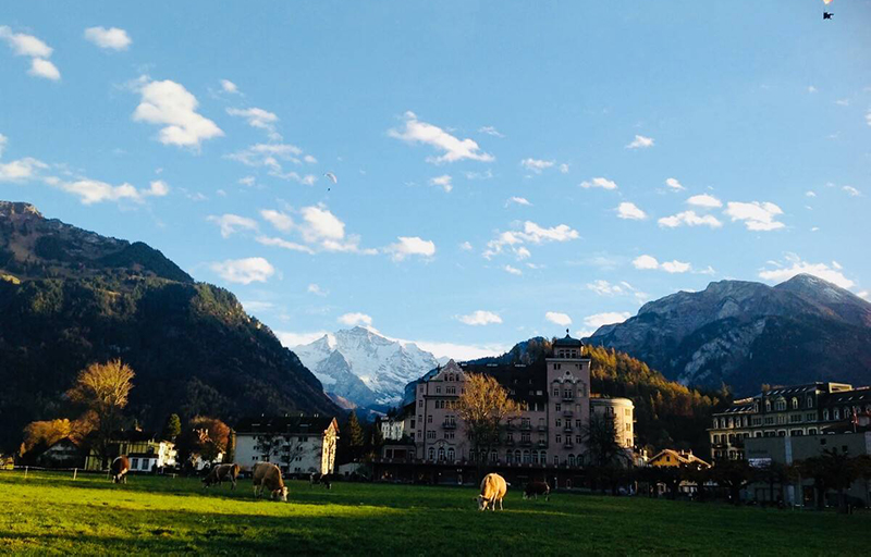 食品微生物檢測儀 食品微生物檢測儀