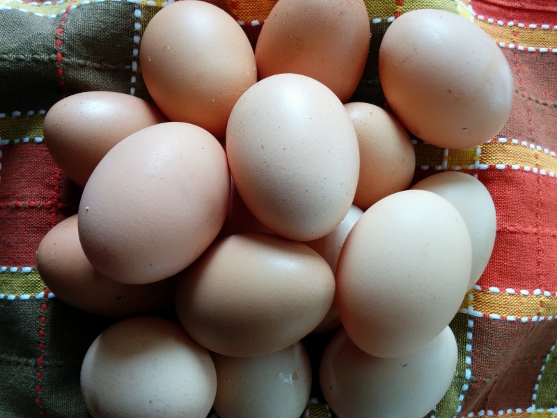 雞蛋藥物殘留檢測(cè)儀可檢測(cè)哪些