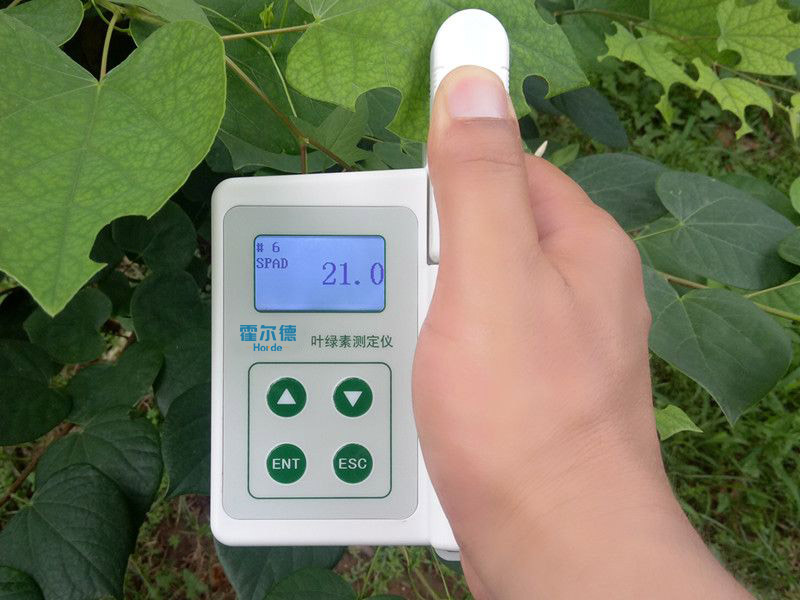 葉綠素含量測量儀，可用于植物施肥的依據